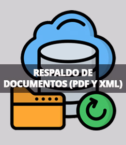 Respaldo de Documentos